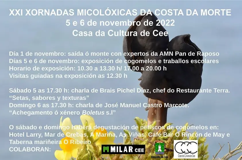 Xornadas Micoloxicas_Costa_da_Morte22 copia