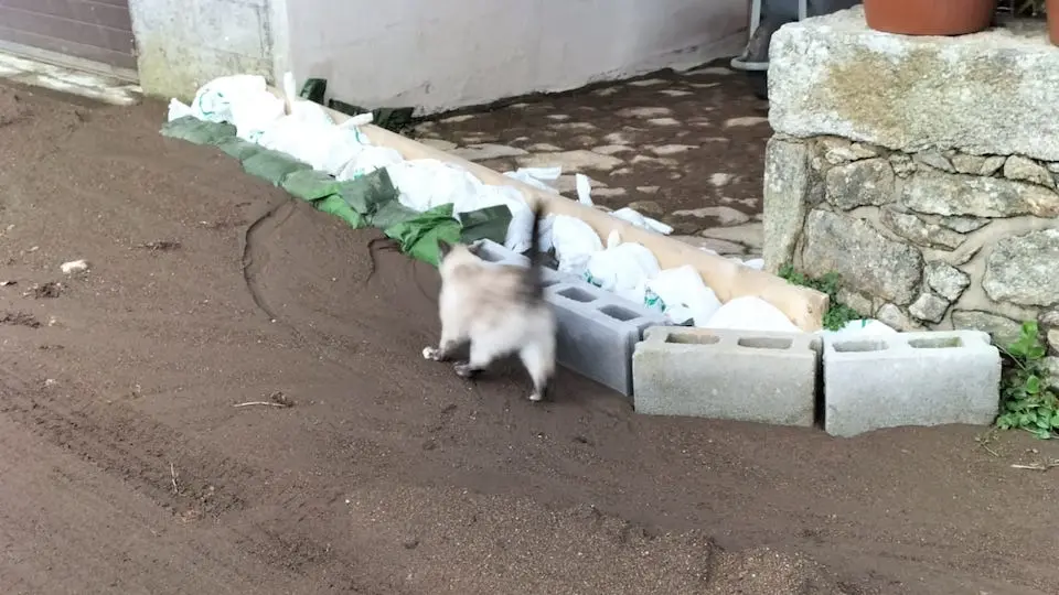 trincheras na porta das casas de Merexo contra a lama