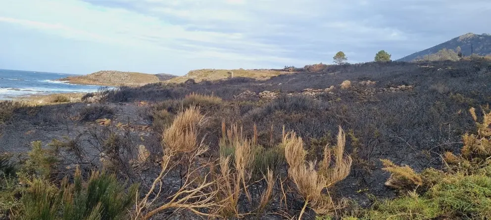 Incendio Larino-Carnota post