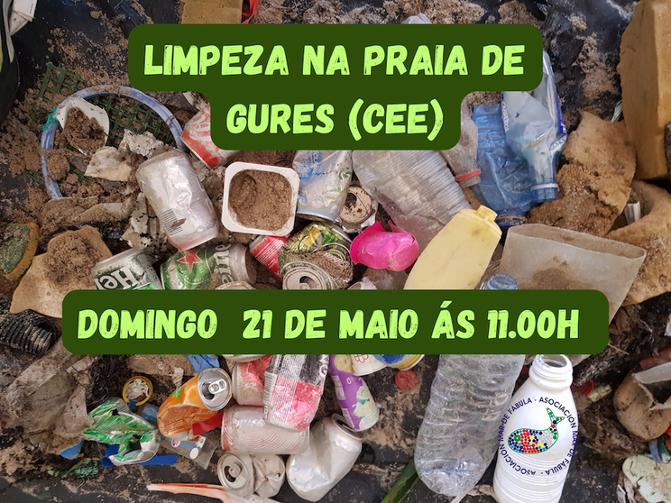 Limpeza praia de Gures