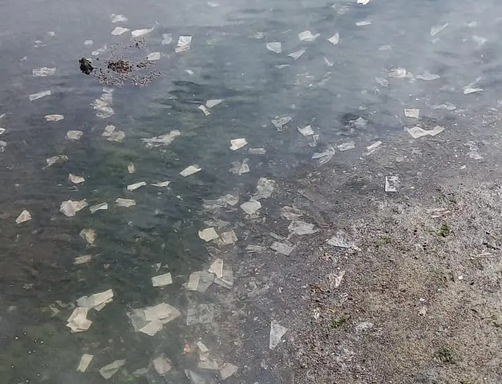 Vertidos de toallitas en Camarinas