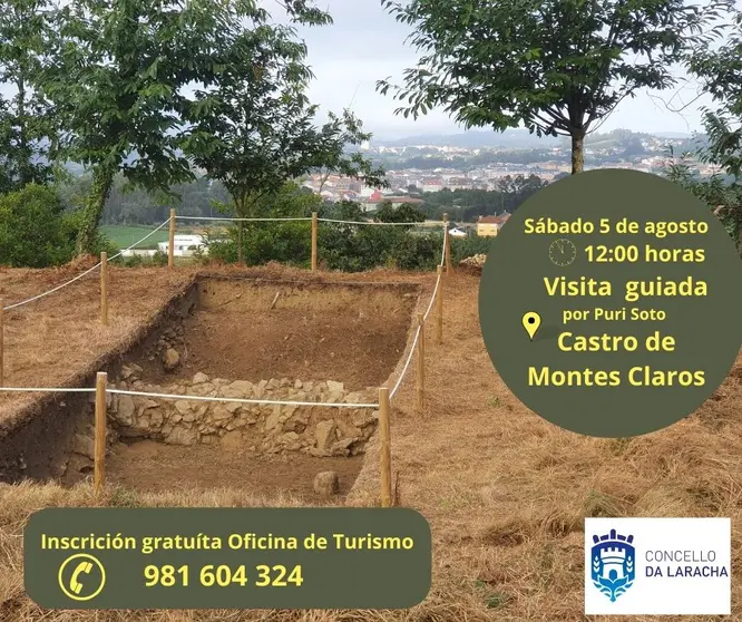 Visita guiada Castro de Montes Claros