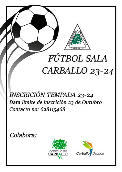 Cartel Liga Futsal Carballo 23-24