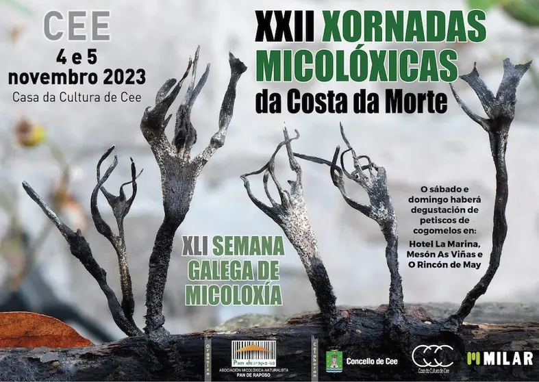 Xornadas Micoloxicas Costa da Morte 2023-Cartel