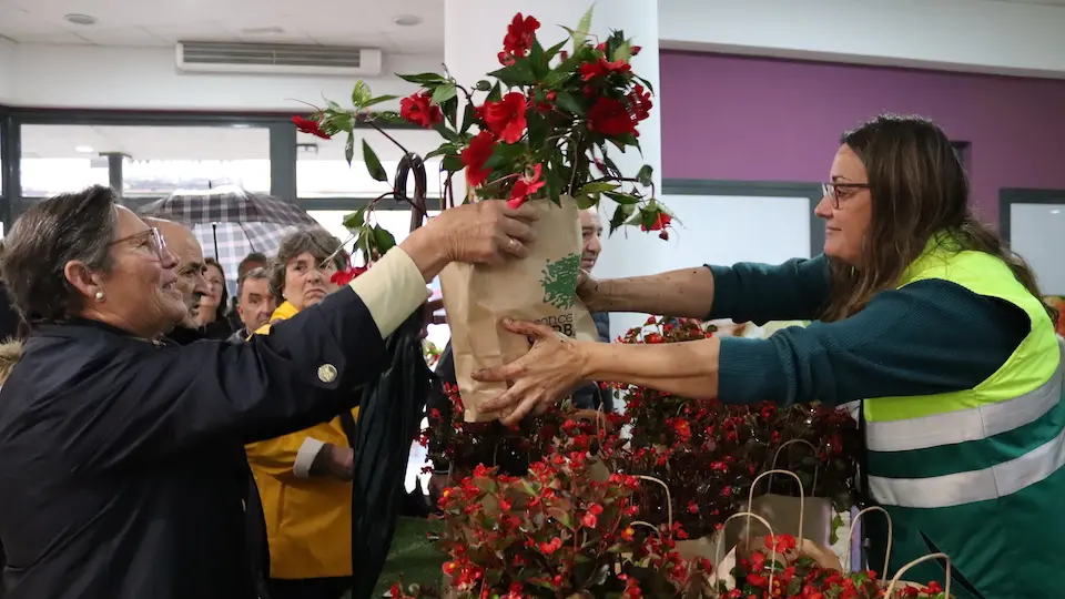 Carballo reparre alergua plantas