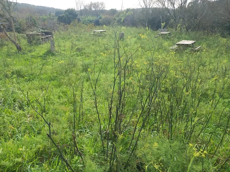 Parque da paluxa abandonado