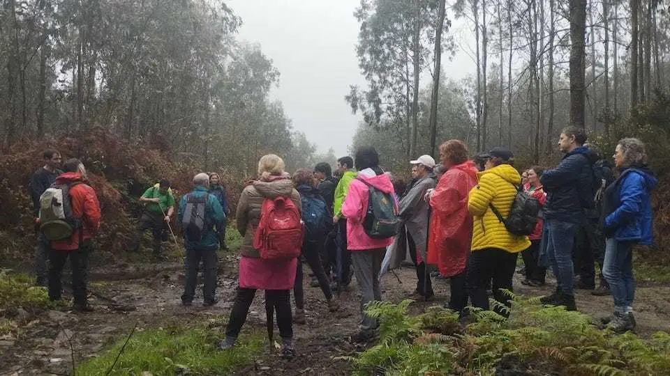 Ruta con Senda Nova pola bretema do Monte Neme