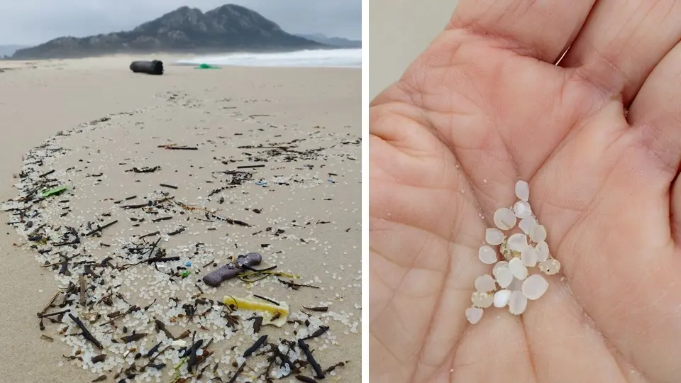 Pellets de Resina na praia Area Maior Monte Louro-Foto-Jaime Portals 1