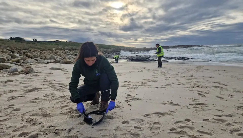 Peneirando praias con ADEGA