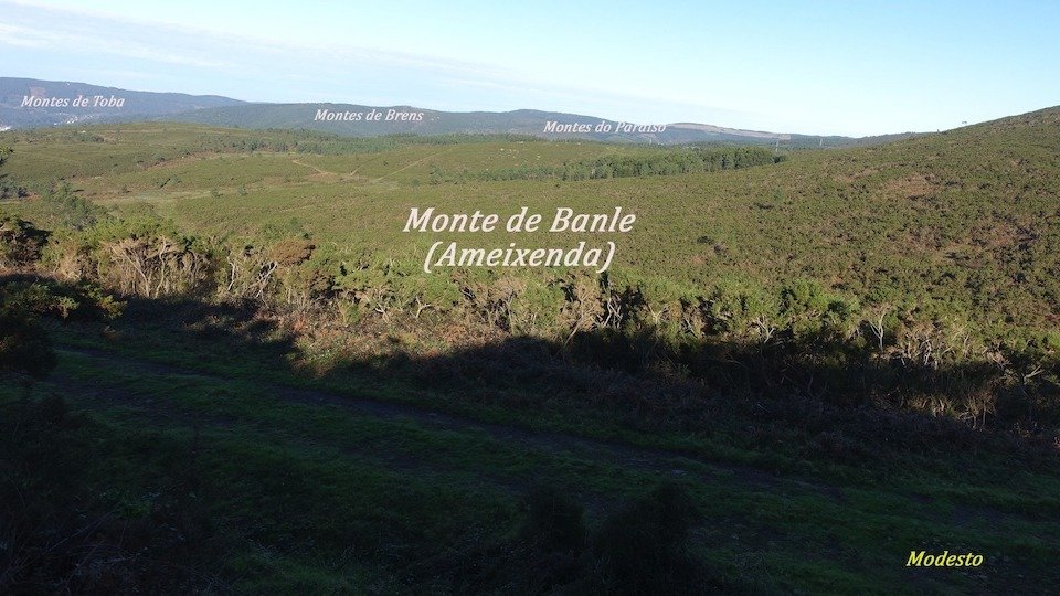 Monte de Banle-Ameixenda-Foto-Modesto Garcia Quintans 960