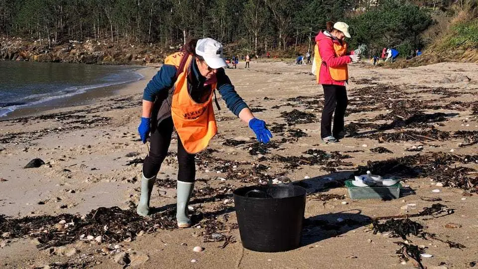 Maariscadoras de Muros limpando a praia de Ventin-Muros