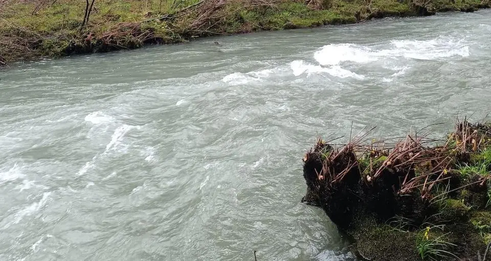 rio castro contaminado leite