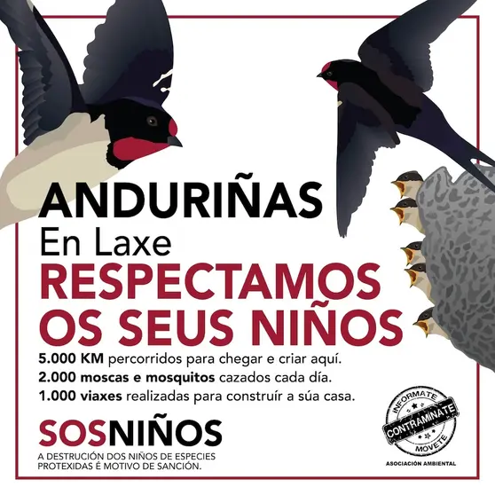 Sos Ninos de Andurinas