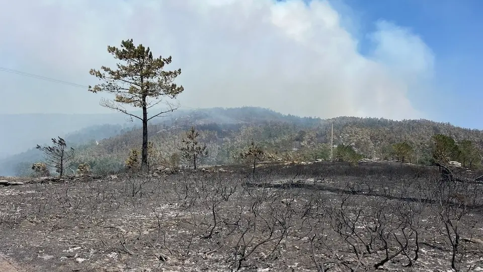 Incendio do Couto ao remate