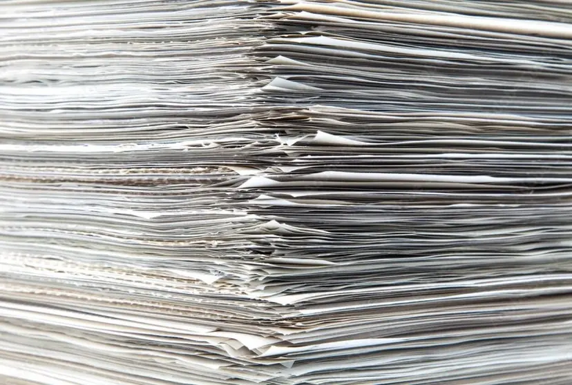papel follas
