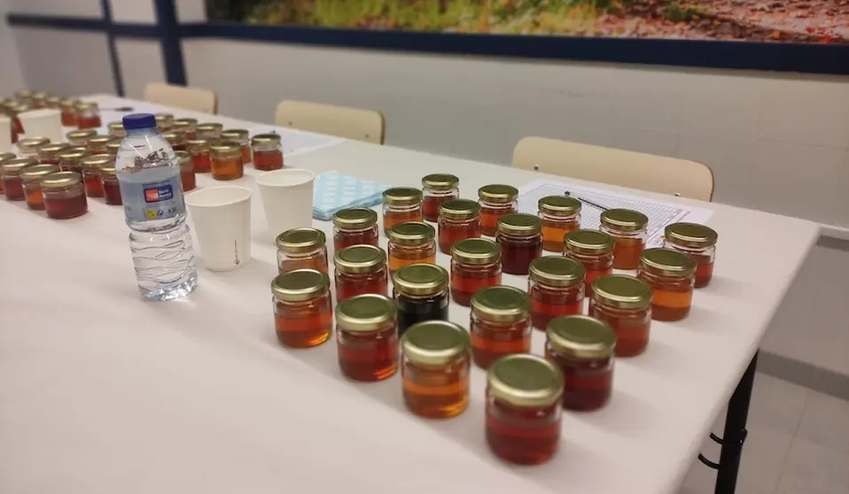 Cata de mel no EFA Fonteboa de Coristanco