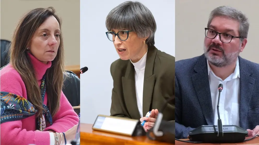 Paloma Castro PSOE Angeles Suarez PP e Oscar Insua BNG no Parlamento