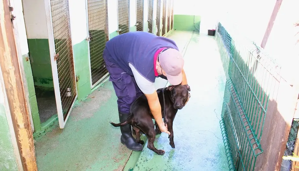 Canceira de Carballo