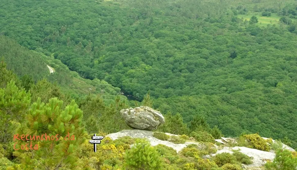 Devesa do Anallares-Foto-Modesto