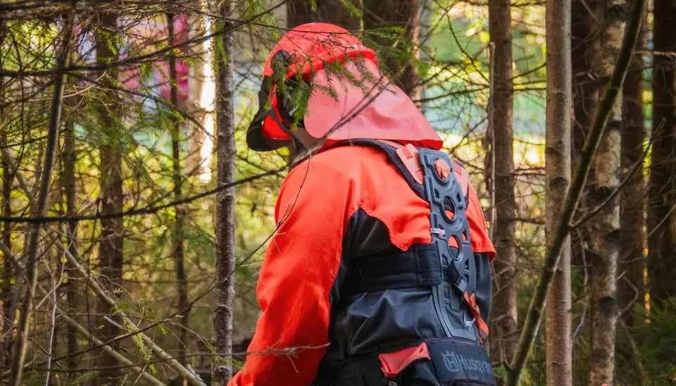 Obradoiro mellora Montes