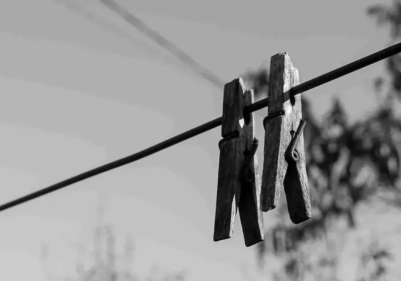 Unha foto do carballes Jose Manuel Perez Pena 