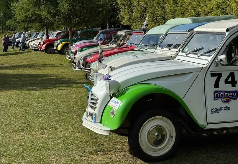 Citroen 2 Cabalos no Camping As Nevedas