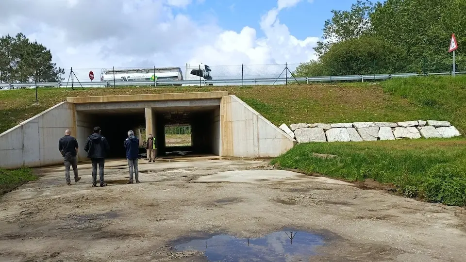 Obras inundacion Carballo