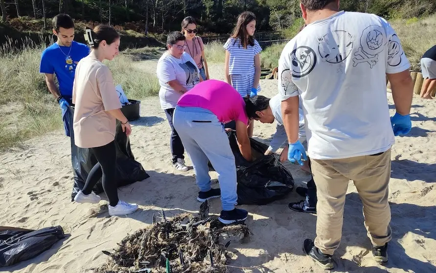 Limpeza de praias con diversiplas