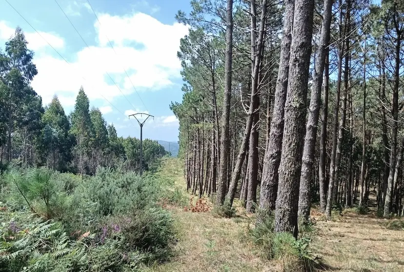 Liña de Alta Tension en Baldomar Muxia