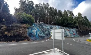 Naturgy desbrozando a franxa de alta tension que provocou o incendio do Couto