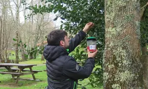 2026.03.06.- Inicio campaña trampeo velutinas. Colocación trampa na área recreativa de Gabenlle-Laracha