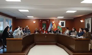 PSOE votando a favor no pleno do Concello. deCee