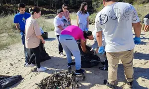 Limpeza de praias con diversiplas