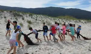 Limpeza cativos de Carnota