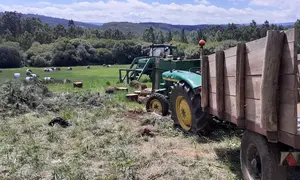 accidente tractor