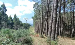 Liña de Alta Tension en Baldomar Muxia