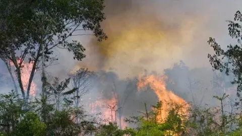 Nasa muestra la vista de un satélite de la Amazonia ardiendo