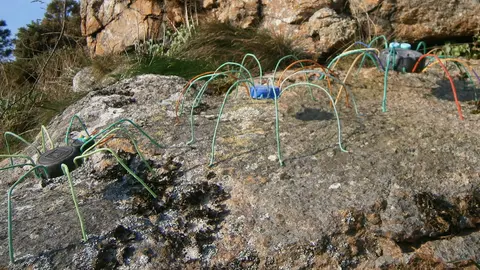 Imaxe das Criaturas Caóticas de Mar de Fábula