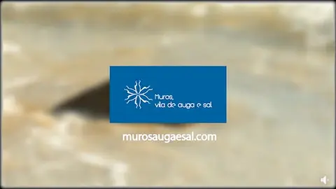 Muros Auga e Sal