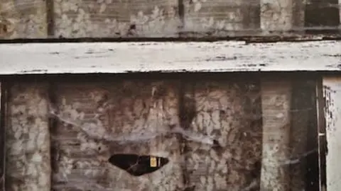 Libro de Francisco Fdez Naval sobre ManuelRodriguez Louro o dumbries en Mauthausen