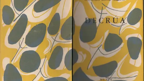 Abente-Capa-Seoane-Decrua