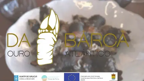 Percebe da Barca Ouro Atlantico