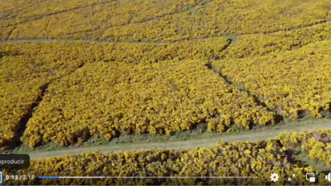 Captura de pantalla 2022-07-25 a las 10.09.29