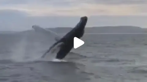 Balea Xibarte en Malpica Video