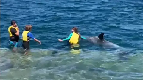 Golfino Confi Corcubion