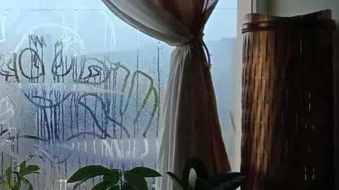 fiestra de inverno no Tinglado