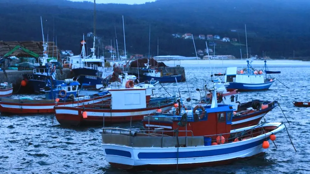 Barcos de baixura no porto de Laxe-Foto-Camino dos Faros
