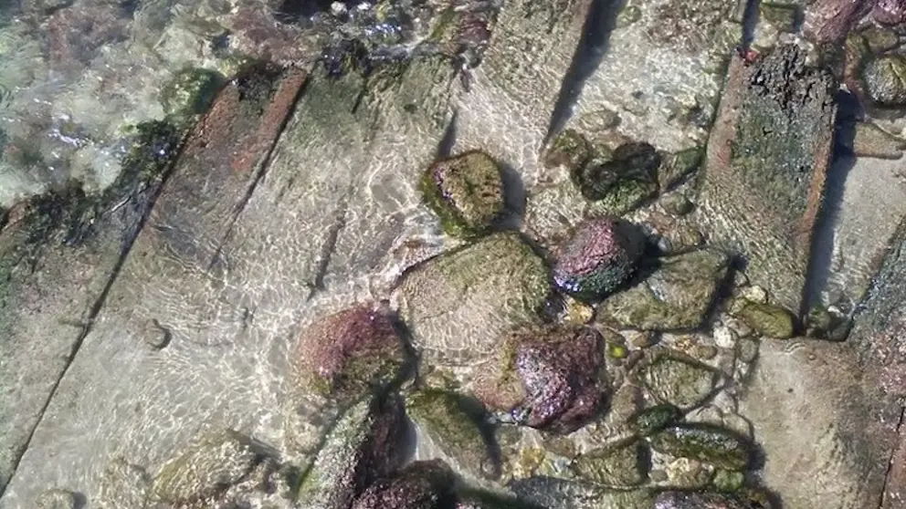 Pecio da Arnela-Corme 2