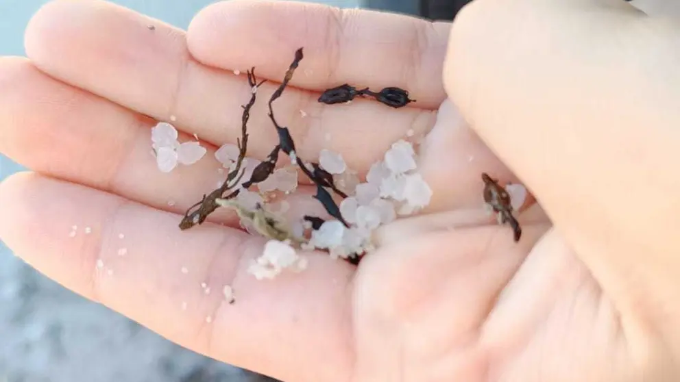 Pellets microplasticos Quilmas