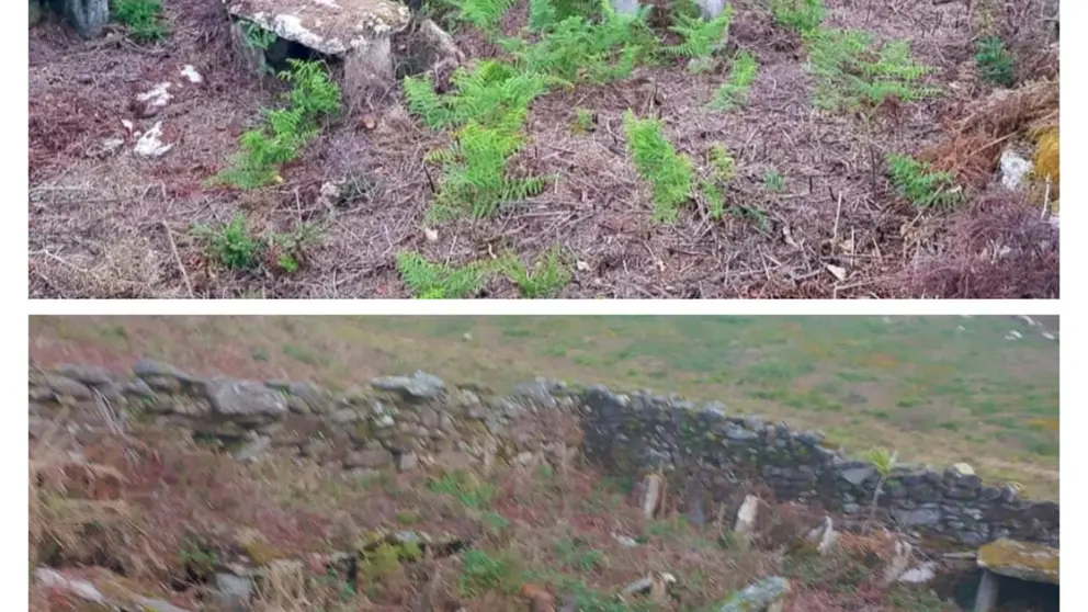 Alvariza da Cova do Raposo de Vimianzo en 2021 e 2025